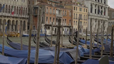 Venice Gondolas Closeup 4K Stock Footage 76682835