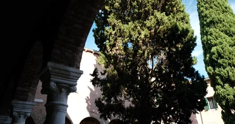 Venice, Italy Stock Footage 235969581