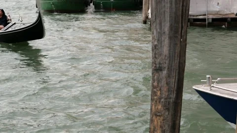 Venice, Italy Stock Footage 236088186