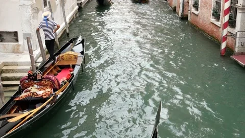 Venice, Italy Stock Footage 236088340