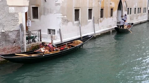 Venice, Italy Stock Footage 236088341