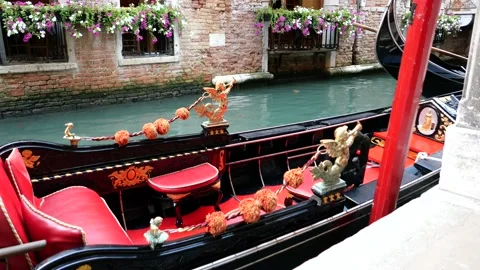 Venice, Italy Stock Footage 236089054