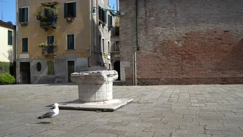 Venice, Italy Stock Footage 236581115