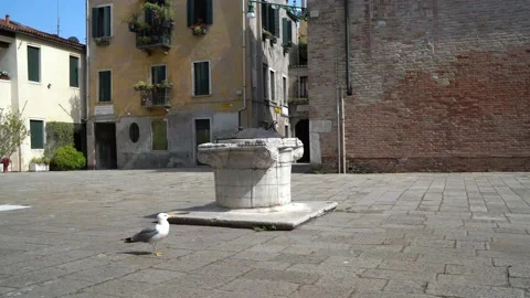 Venice, Italy Stock Footage 236581128