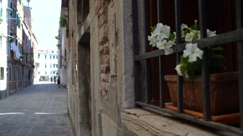 Venice, Italy Stock Footage 236581420