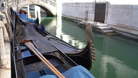 Venice, Italy Stock Footage 236581768