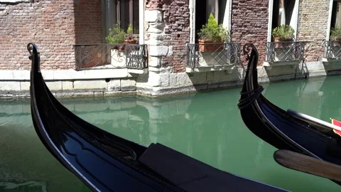 Venice, Italy Stock Footage 236581789