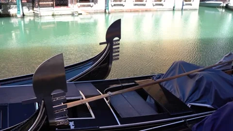 Venice, Italy Stock Footage 236581840