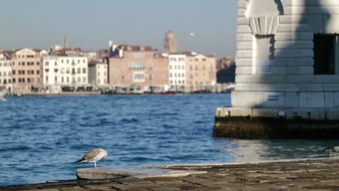 Venice, Italy Video stock 290174462