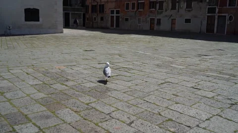 Venice, Italy Stock Footage 291560245