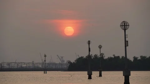 Venice lagoon at sunset in slow motion, bird lands on mooring post Stock Footage 117834878