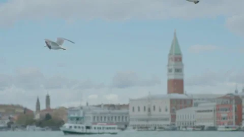 Venice landscape seagulls 2 Stockbeeldmateriaal 71749977