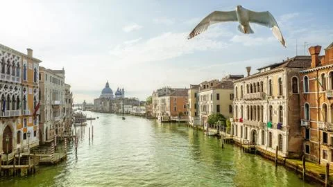 Venice 스톡 사진