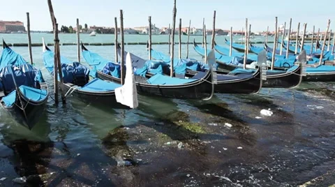 Venice pollution filth gondolas P HD 1027 Stock Footage 7729800