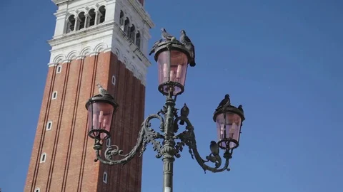 Venice, San Mark Square, Pigeons Stock Footage 71686243
