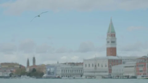 Venice seagulls 3 Stockbeeldmateriaal 71749861