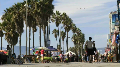 Venice Skateboard Stock Footage 539604