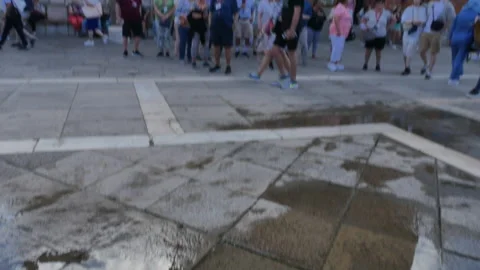 Venice. St Mark's Campanile Video stock 289244076