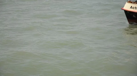 Venice traffic Stock Footage 7340696