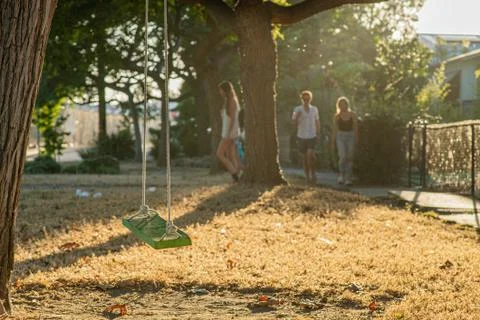 Venice Tree Swing Foto stock