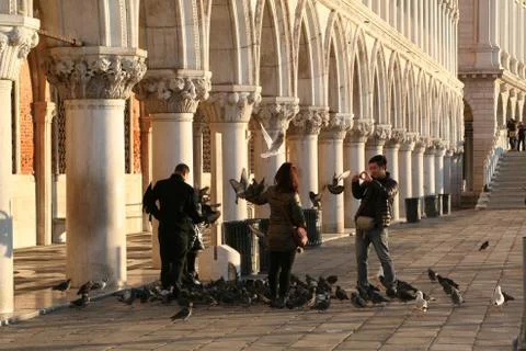 Venice in the winter Stock-Fotos