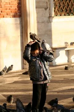 Venice in the winter Stock-Fotos