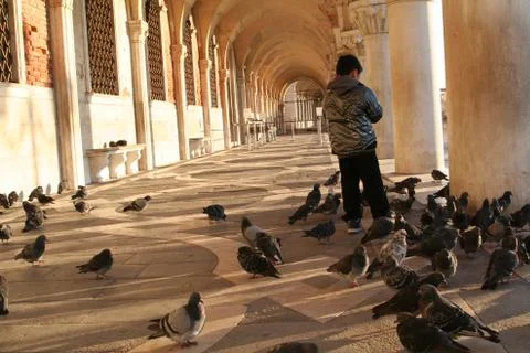 Venice in the winter Stock-Fotos