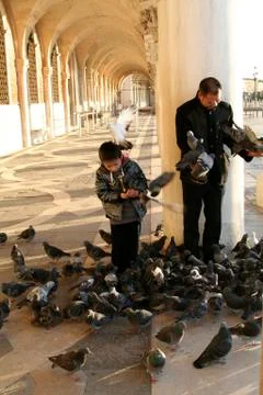Venice in the winter Stock-Fotos