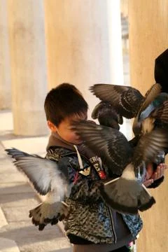 Venice in the winter Stock-Fotos