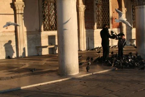 Venice in the winter Stock-Fotos