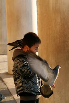 Venice in the winter Stock-Fotos