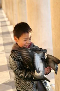 Venice in the winter Stock-Fotos