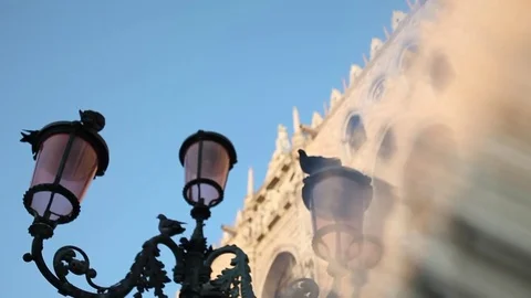 Venise - bird Stock Footage