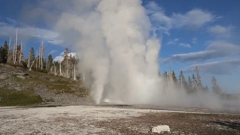 Vent Geyser Erupting in Yellowstone Stock Footage 100526144