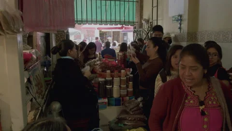 VENTA CHAPULINES Stock Footage 230286394