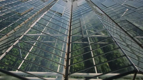 Ventilation of greenhouses Video stock 62503252