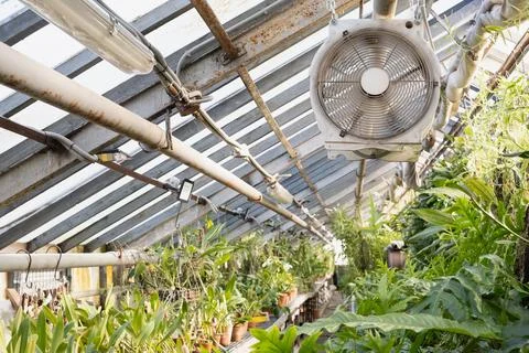 Ventilation system inside a large greenhouse Stock Photos