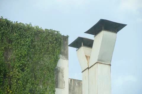 Ventilation with a wall full of grass. Stock Photos