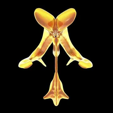 Ventricular system of brain, 3D illustration Illustrazione stock