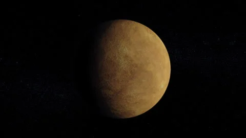 VENUS DOLLY OUT Stock Footage 309873226