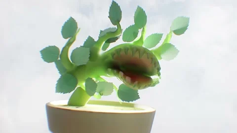 Venus flytrap 2 Video stock 166827623