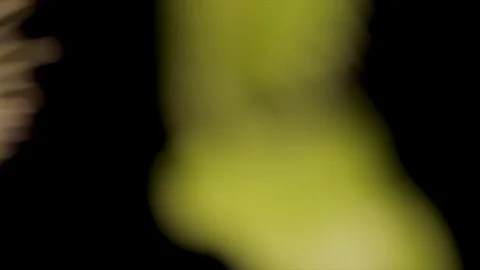 Venus flytrap digesting fly after catching it. Carnivorous plants eating insects Stock Footage 112653514