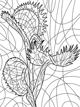 Venus flytrap, houseplant killer. Freehand sketch for adult antistress coloring Illustrazione stock