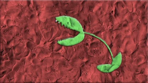 Venus Flytrap Made of Clay in Stop Motion Stock Footage 94153401