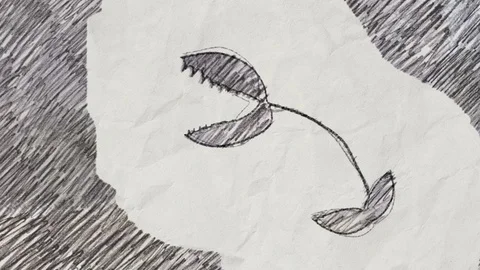 Venus Flytrap in Pencil Drawing Style Stock Footage 116294333