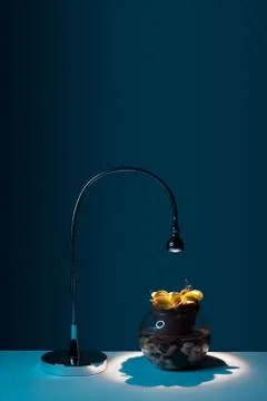 Venus flytrap table plant in pot under lamp on pink background Stock Photos