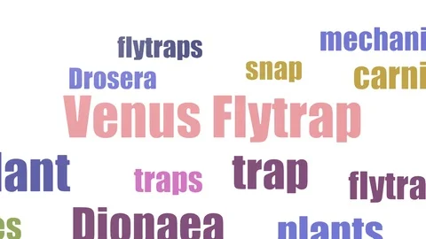 Venus Flytrap Tagcloud Animated On White Background Stock Footage 103563654