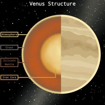 Venus Internal Structure Infographic Stock Illustration