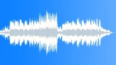 VenusStock Music