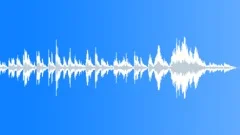 VenusStock Music